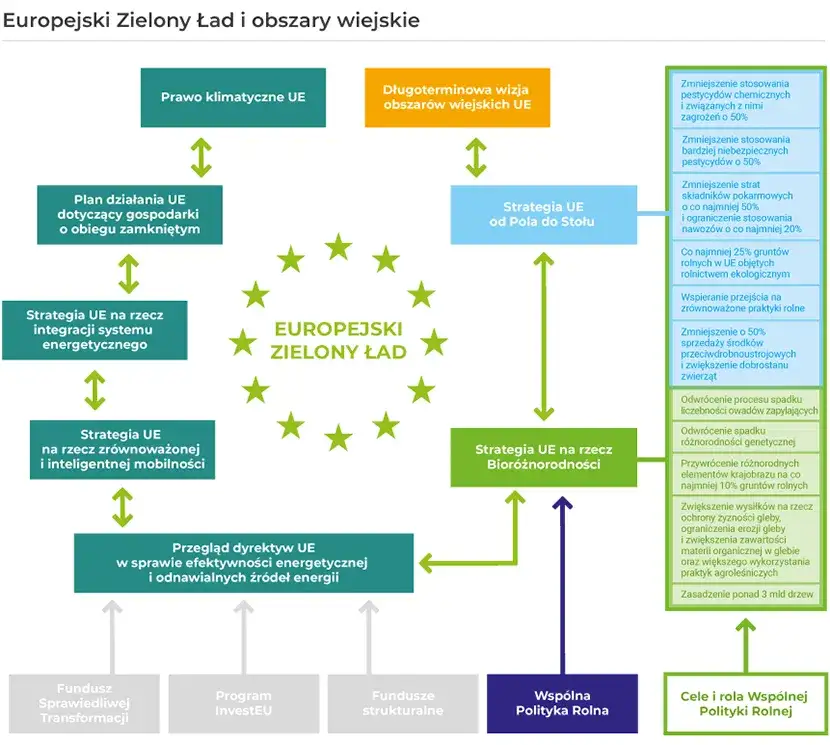 Zielony ład od kiedy – kluczowe daty i ważne wydarzenia w UE