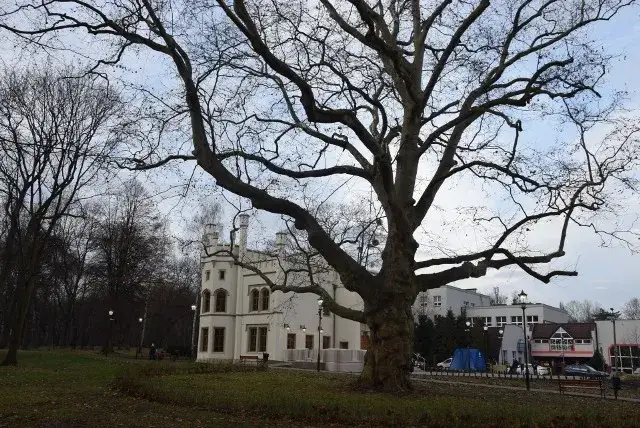 Pałac w Miechowicach: niezwykła atrakcja Bytomia zaprasza na zwiedzanie