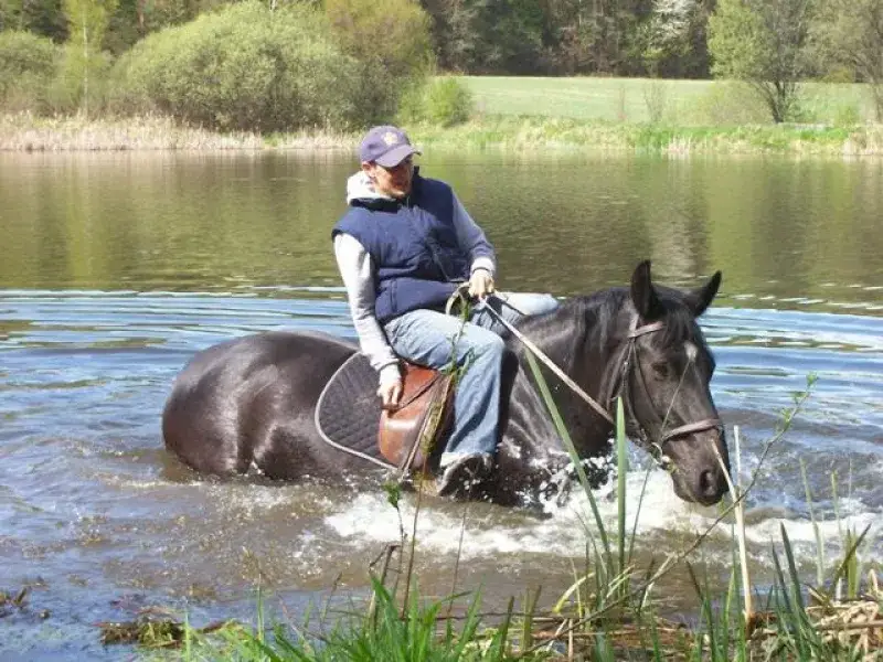 Stadnina koni Antoniówka - najlepsze lekcje jazdy i obozy jeździeckie