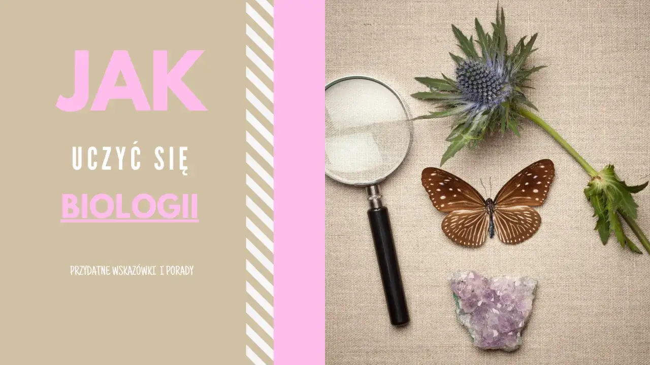 Jak uczyć się biologii? Zrozum, nie zapamiętuj! Porady eksperta.