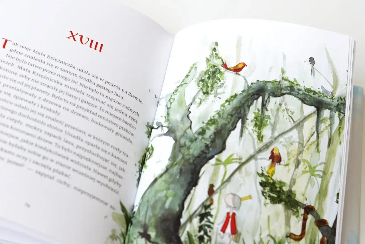 Recenzja książki mała księżniczka: odkryj jej ukryte przesłanie i emocje