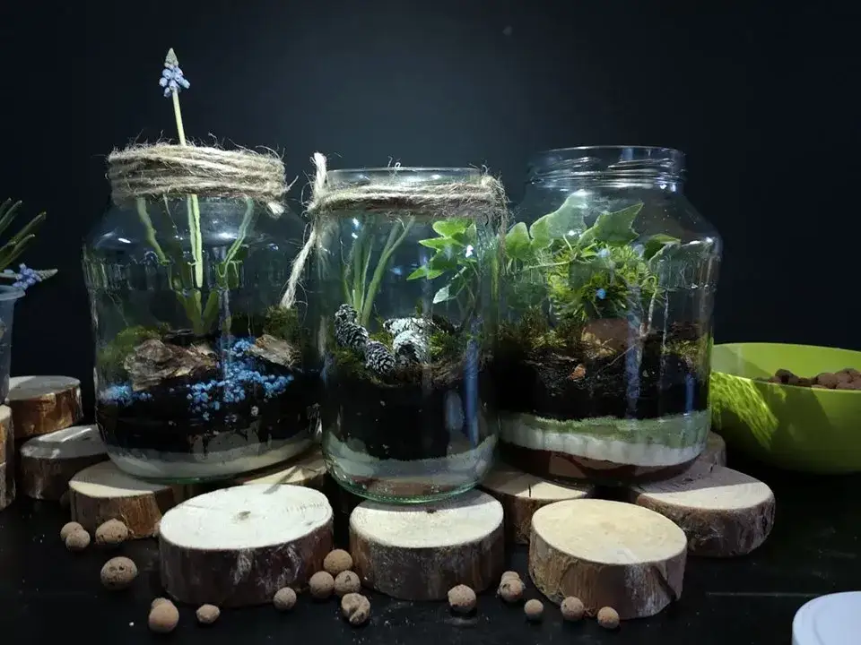 Jak zrobić las w słoiku z dzieckiem i stworzyć magiczny świat natury