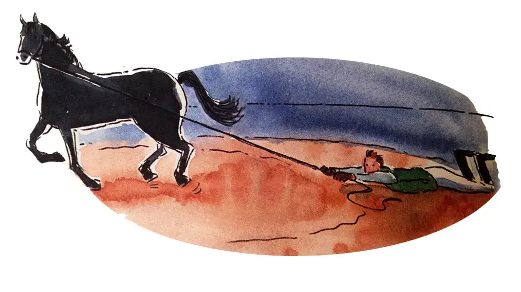 Synonimy jeździectwa – poznaj alternatywne określenia tej pasji