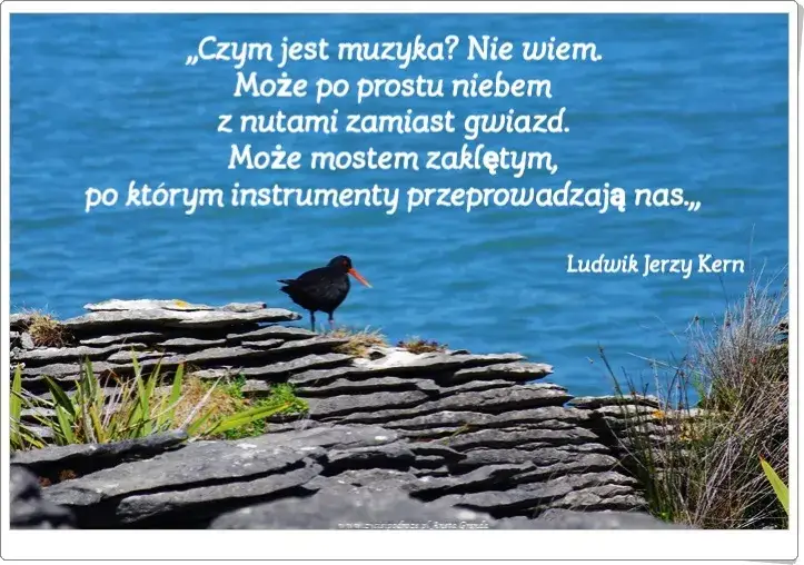 Muzyka w cytatach: Inspirujące słowa o dźwiękach duszy