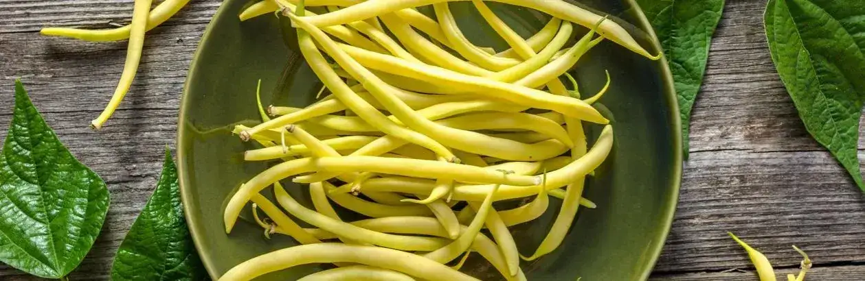 Co zrobić z ugotowanej fasolki szparagowej? 10 pysznych przepisów na dania