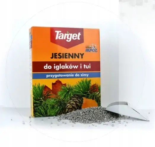 Nawóz jesienny do tui: Kiedy i jak? Klucz do zimowej odporności