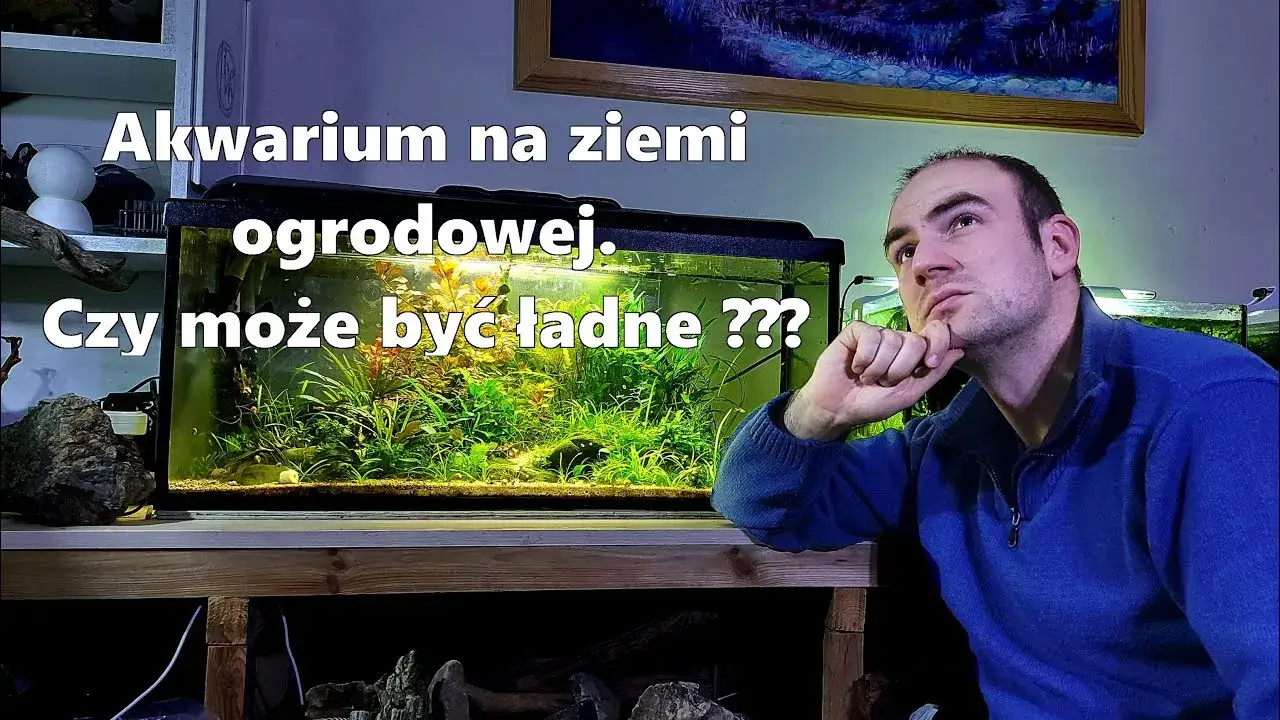 Jak założyć akwarium na ziemi ogrodowej bez zbędnych problemów