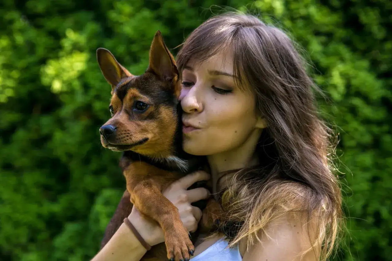 Mam psa i co teraz hotel - Bezpieczny wybór dla Twojego pupila w Poznaniu