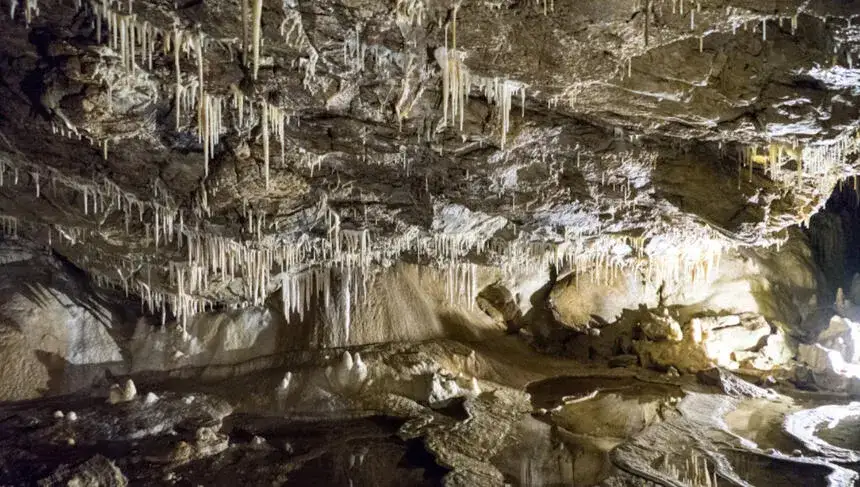 Jaskinia Niedźwiedzia w Sudetach: najważniejsze informacje dla turystów