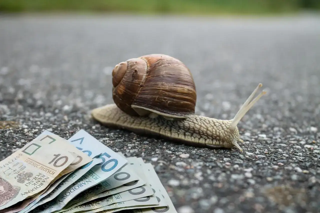 Ile ślimaków na m2 to plaga? Liczby, które musisz znać!