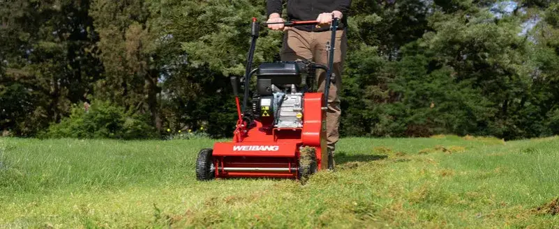 Wertykulacja jesienna: Jak przygotować trawnik na zimę i wiosnę?