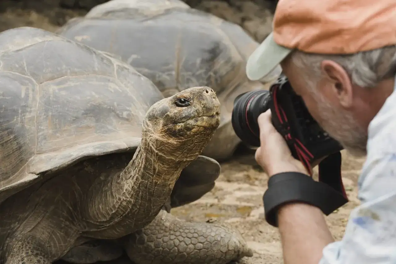 Co je żółw? Poznaj niezwykłe cechy i tajemnice tych stworzeń