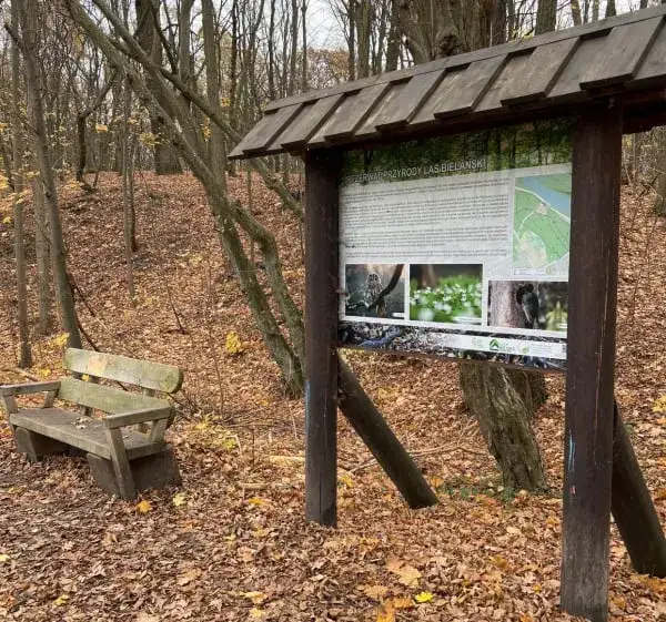 Lasek Bielański: Atrakcje, historia, natura zaplanuj idealną wycieczkę