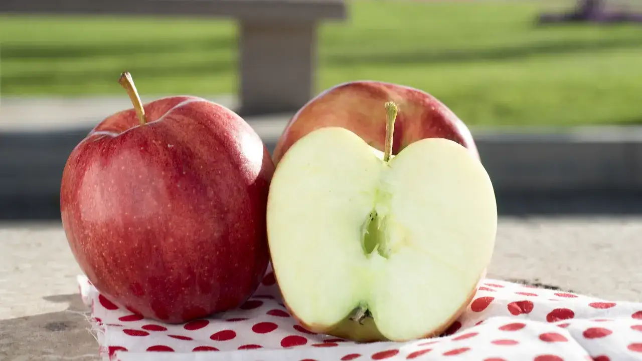 Dwa czerwone jabłka, jedno przekrojone na pół, leżą na materiale w czerwone kropki. Czy jabłko to cytrus? Nie, to nie jest cytrus.