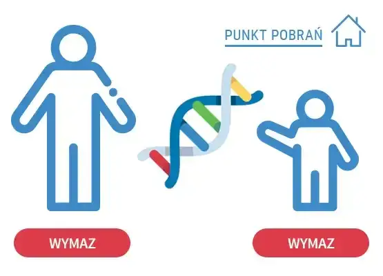 Kto płaci za badania DNA zlecone przez sąd? Poznaj zasady i wyjątki