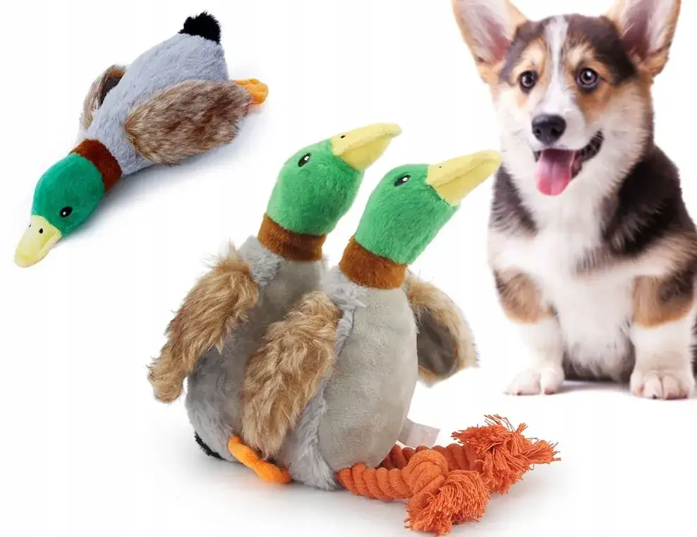 Pluszowa zabawka dla psa - jak wybrać bezpieczny i trwały model
