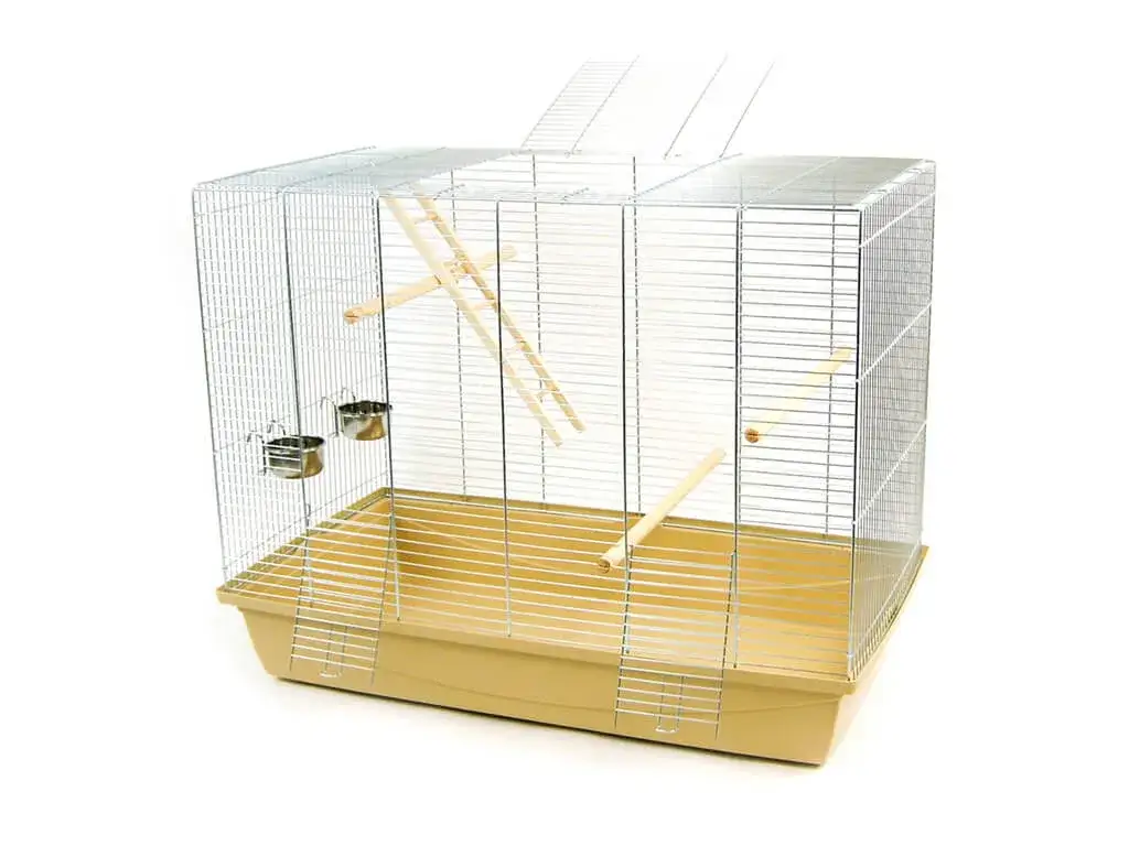 Ile kosztuje klatka dla papugi? Zobacz aktualne ceny wszystkich typów