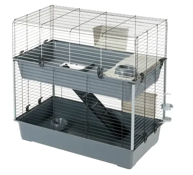 Wymiary klatki dla 2 świnek morskich: wszystko o komfortowych warunkach