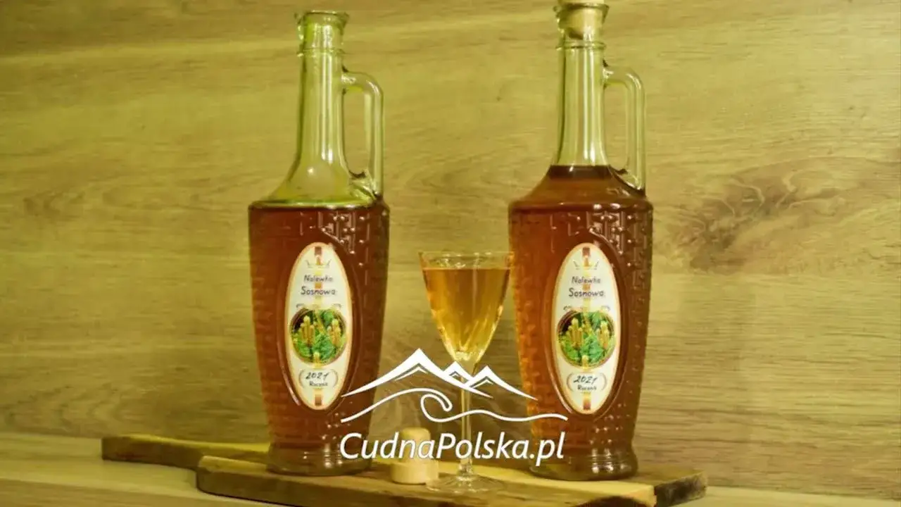 Nalewka z pędów sosny - kiedy zbierać, aby uzyskać najlepszy smak