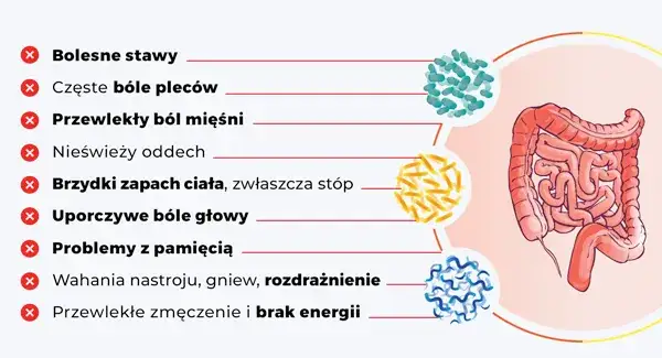 Objawy zaburzeń mikroflory jelitowej – jak rozpoznać i co robić?