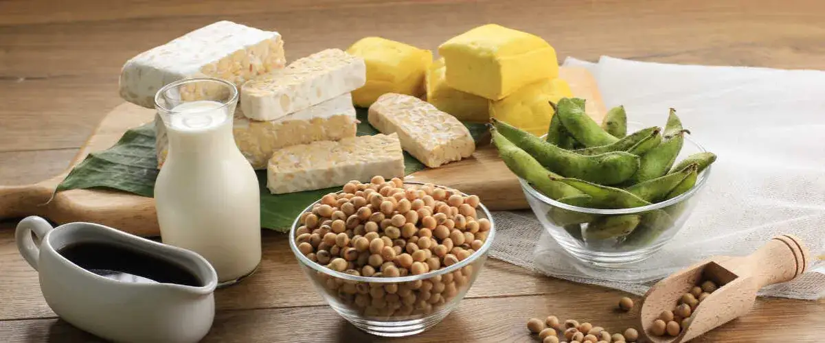 Co można jeść na diecie wegetariańskiej? Odkryj zdrowe i smaczne opcje