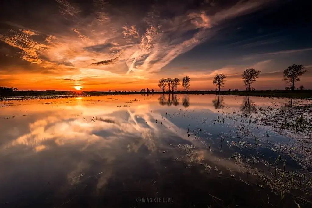 Jak zrobić ostre zdjęcia: proste triki na wyraźne fotografie
