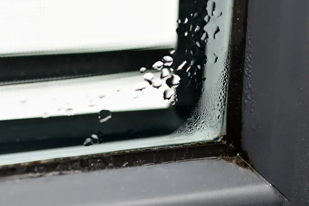 Jak usunąć pleśń z uszczelki okna - skuteczne metody i porady