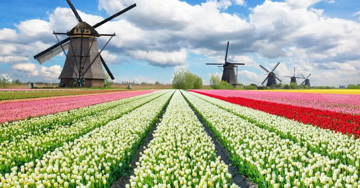 Nietypowe miejsca noclegowe w Holandii: od houseboatów po wiatraki