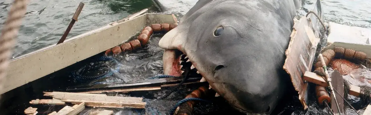 Najlepsze filmy o rekinach: przerażające thrillery na morzu