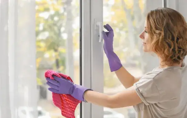 Myjka do okien Nilfisk czy Karcher - która lepsza dla Ciebie?