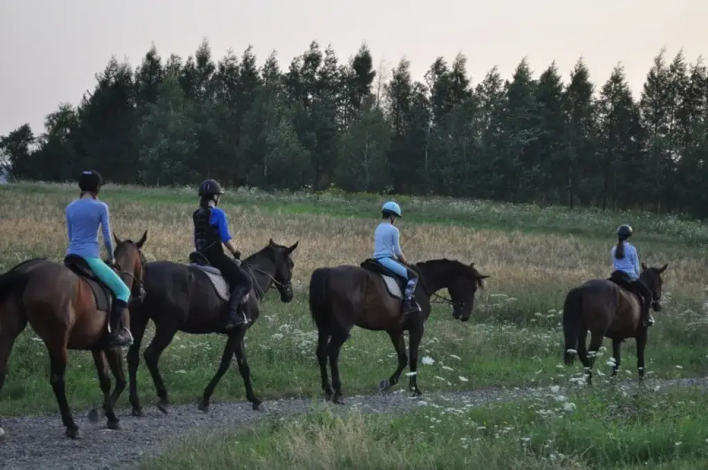 Zawody w jeździectwie w Polsce: jak uczestniczyć i co zobaczyć