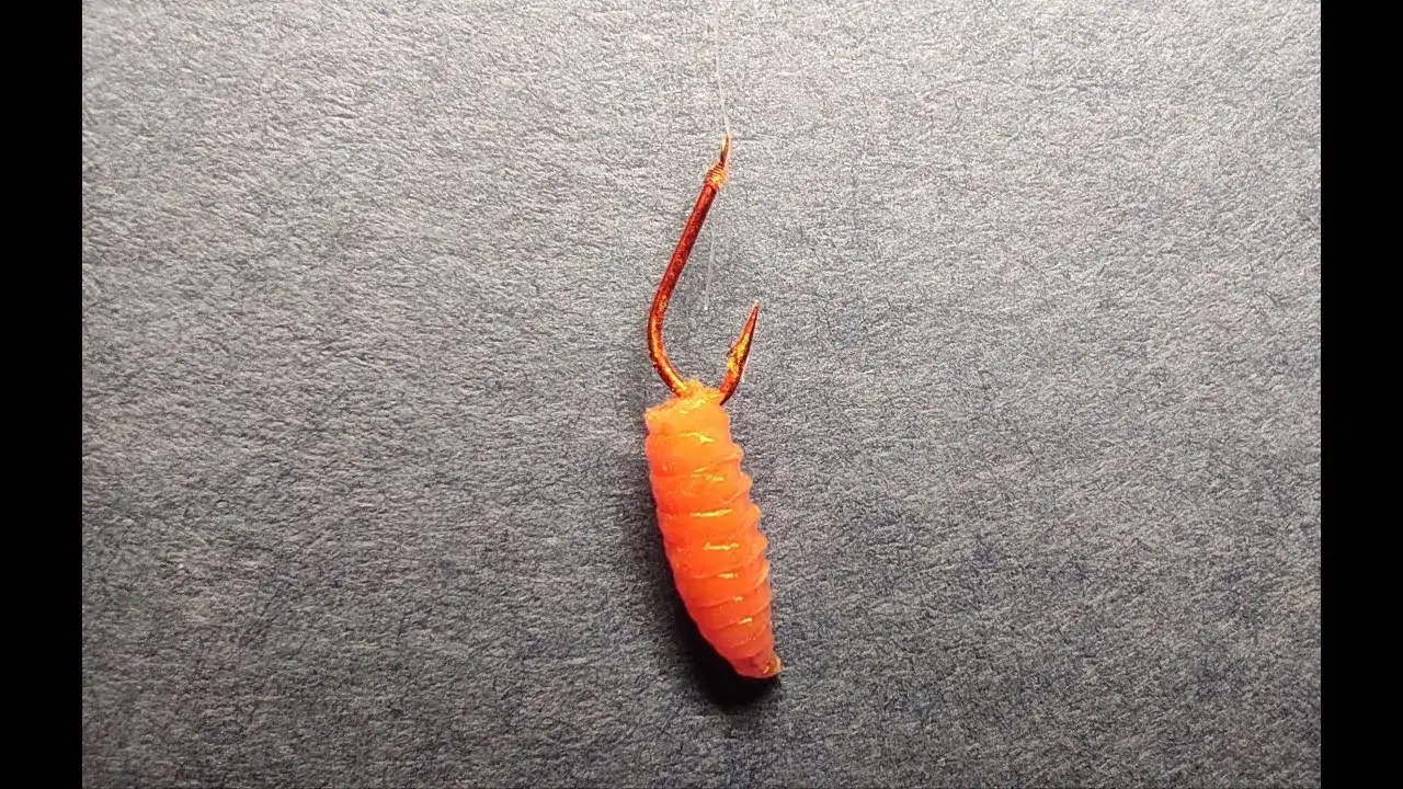 Jak założyć białego robaka na haczyk bez uszkodzenia robaka