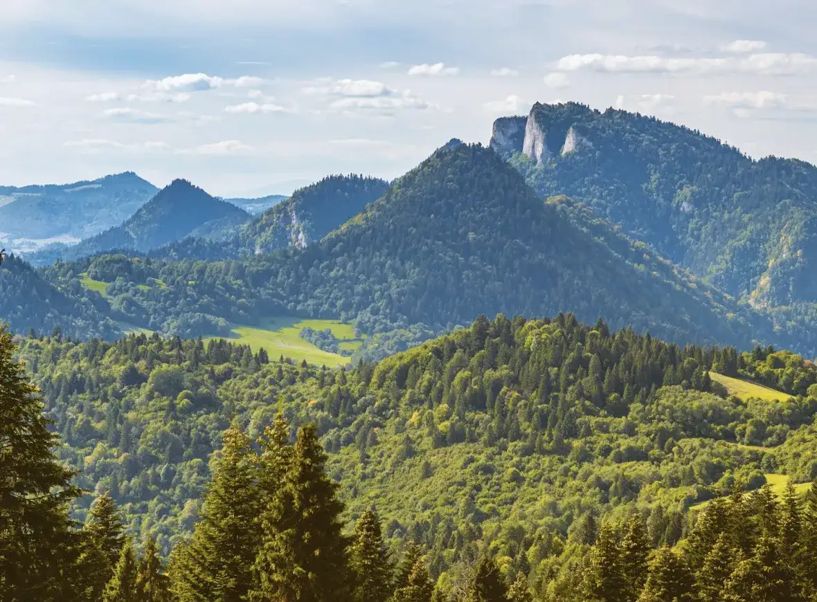 Chwila wytchnienia w Pieninach: jak w prosty sposób naładować życiowe baterie?