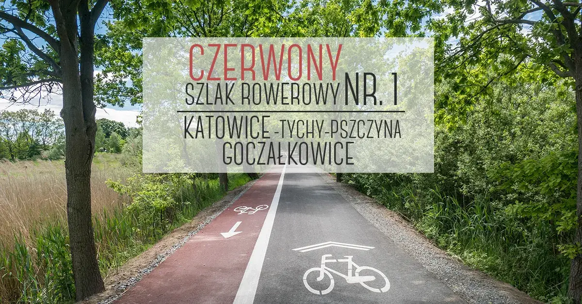 Co oznacza szlak rowerowy czerwony? Odkryj jego znaczenie i trudności