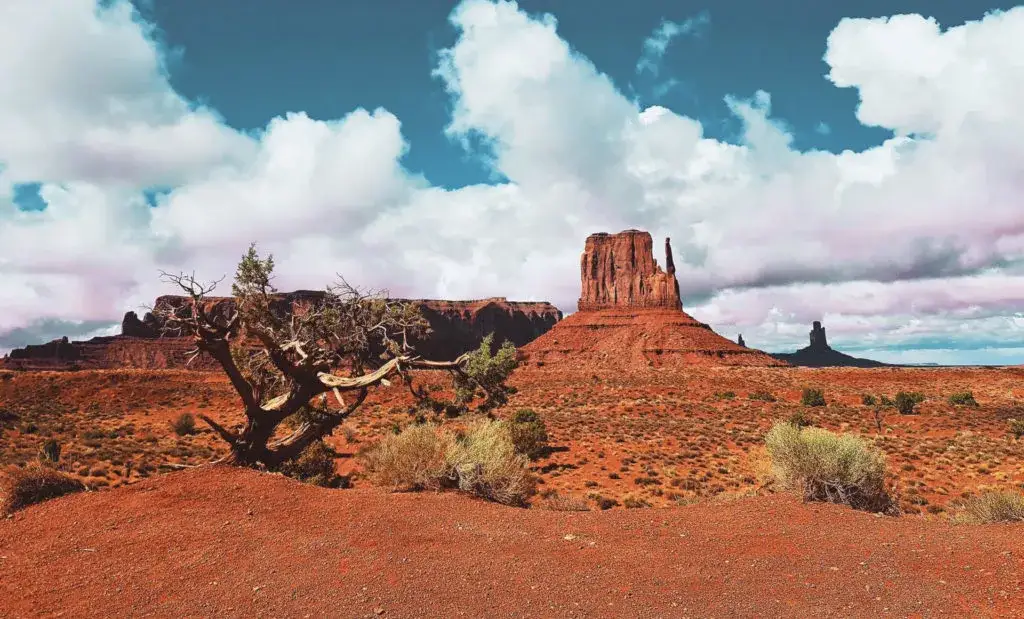 Samochody przystosowane do safari w Republice Południowej Afryki