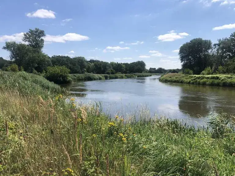 Atrakcje w Środzie Wielkopolskiej, które musisz zobaczyć i przeżyć