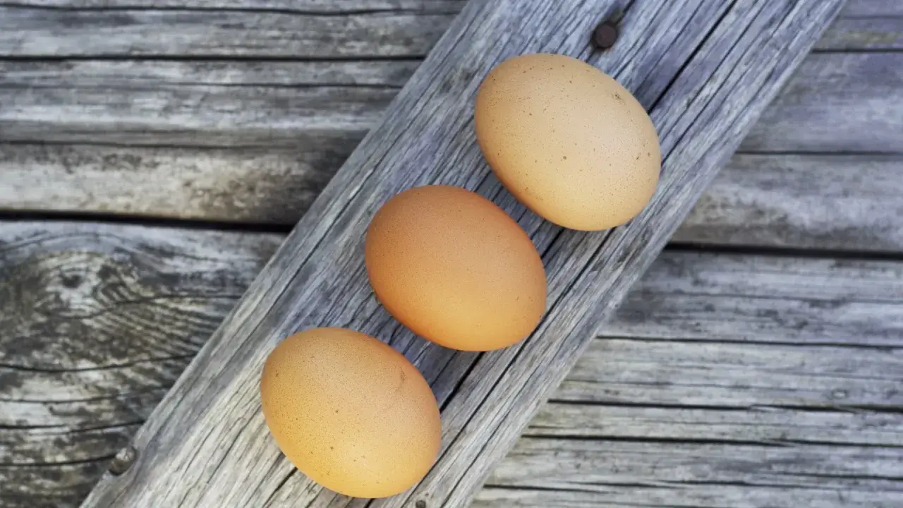 Czy jajka naprawdę podwyższają cholesterol? Fakty i mity o ich wpływie na zdrowie