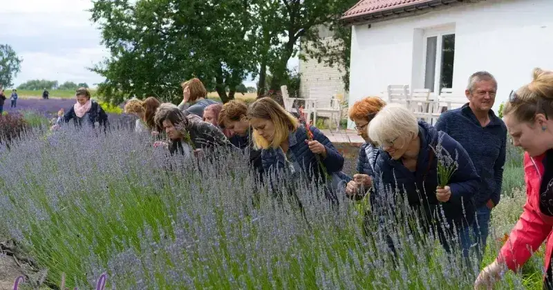 Zagroda edukacyjna jak założyć - uniknij najczęstszych błędów