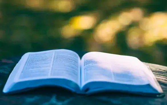 Sztuczna inteligencja przeczyta dla Ciebie książkę – skuteczne rozwiązanie problemu braku czasu