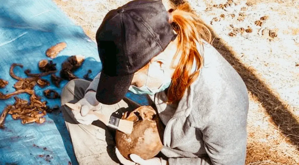 Prawa autorskie a platformy streamingowe - co użytkownik Vider powinien wiedzieć?