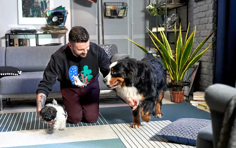 Jak zapoznać szczeniaka z dorosłym psem bez stresu i konfliktów