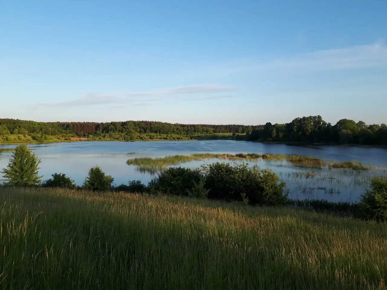 Łowisko specjalne Młyn w Rańsku – idealne miejsce na wędkowanie