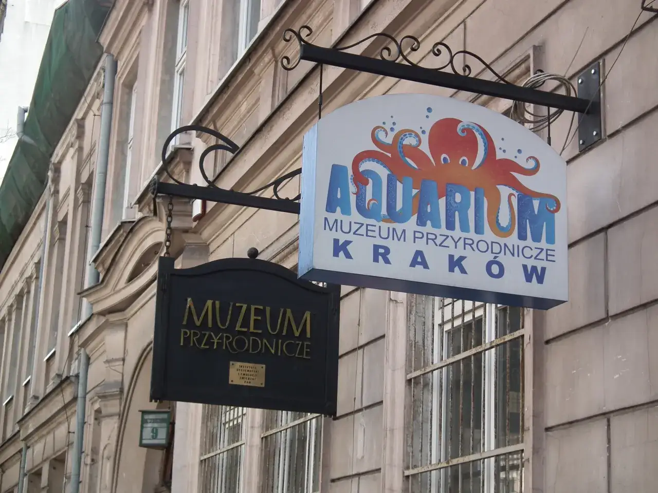 Największe polskie oceanarium w Krakowie - co warto zobaczyć?