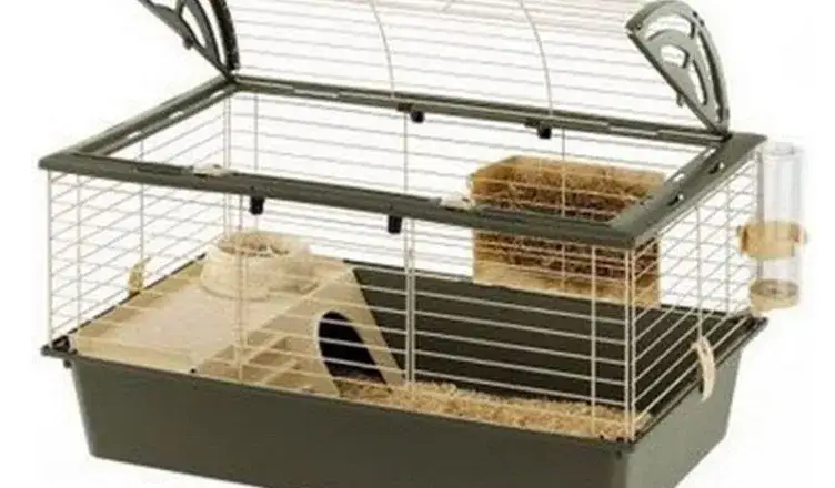Jaką klatkę dla koszatniczki wybrać: wymiary i wyposażenie na start