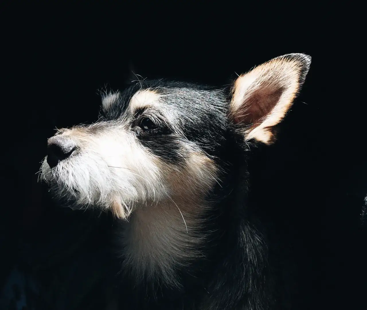 Co to znaczy kremacja? Zrozumienie procesu i jego znaczenia