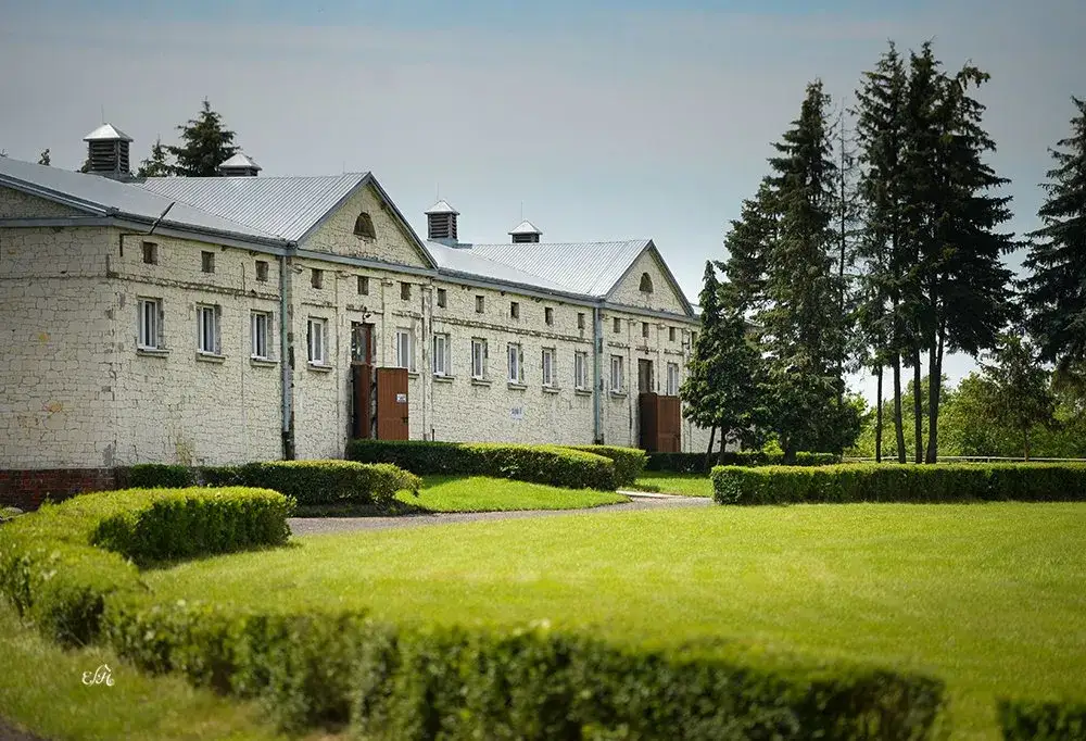 Stadnina koni Białka – wyjątkowe konie arabskie i małopolskie w hodowli