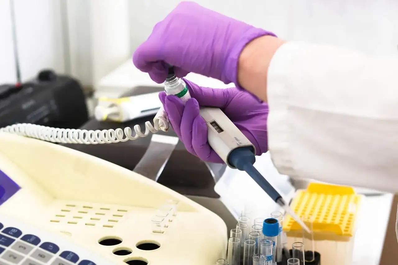 Gdzie zbadać kleszcza za darmo? Sprawdź, jak uniknąć boreliozy