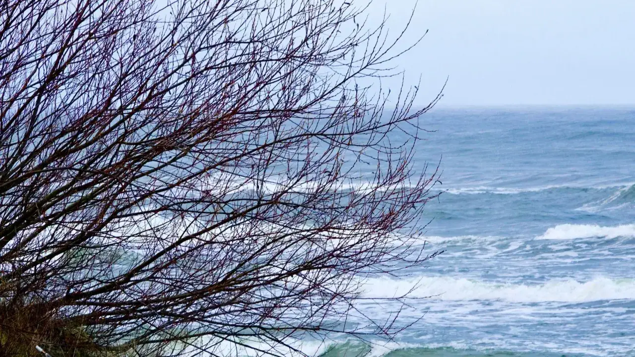 Najciekawsze atrakcje w Kątach Rybackich, które musisz zobaczyć