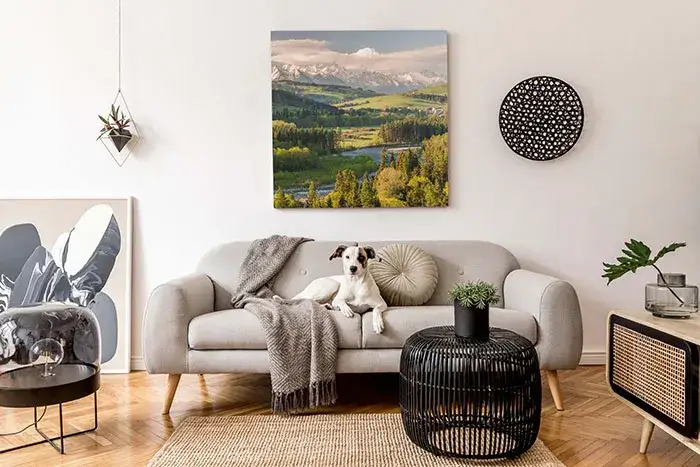 Jak dobrać obraz do salonu, by zachwycał i harmonizował z wnętrzem