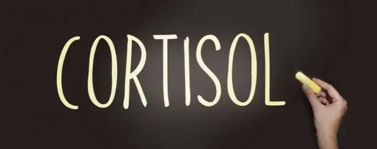 Skuteczne suplementy na obniżenie kortyzolu i redukcję stresu